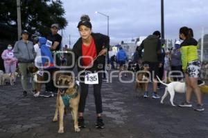 SAN ANDRÉS CHOLULA . CAMINATA CANINA