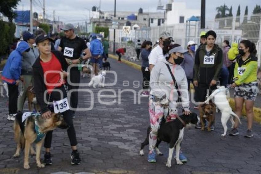 SAN ANDRÉS CHOLULA . CAMINATA CANINA