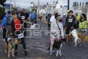 SAN ANDRÉS CHOLULA . CAMINATA CANINA