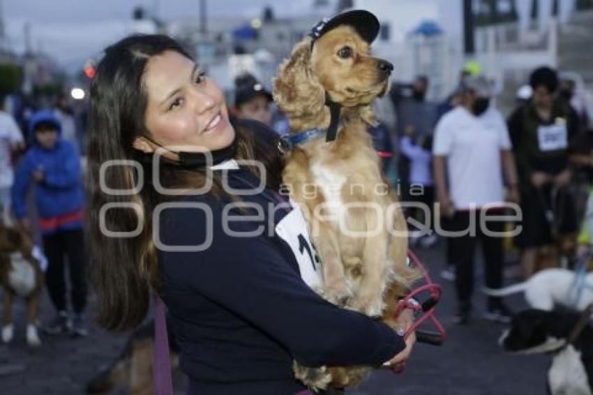 SAN ANDRÉS CHOLULA . CAMINATA CANINA