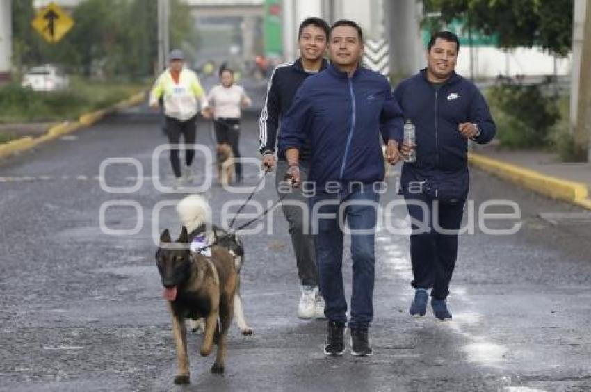 SAN ANDRÉS CHOLULA . CAMINATA CANINA