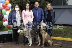 SAN ANDRÉS CHOLULA . CAMINATA CANINA