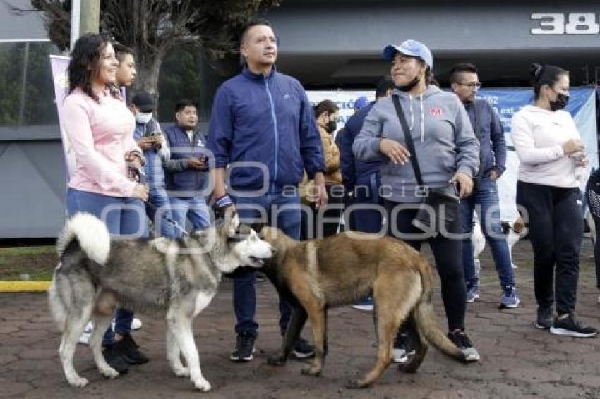 SAN ANDRÉS CHOLULA . CAMINATA CANINA