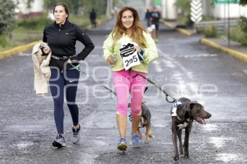 SAN ANDRÉS CHOLULA . CAMINATA CANINA