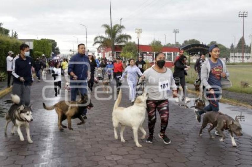 SAN ANDRÉS CHOLULA . CAMINATA CANINA