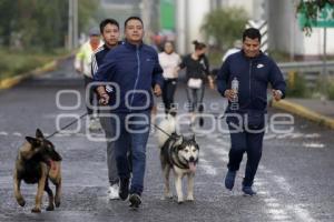 SAN ANDRÉS CHOLULA . CAMINATA CANINA