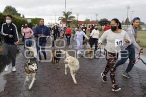 SAN ANDRÉS CHOLULA . CAMINATA CANINA