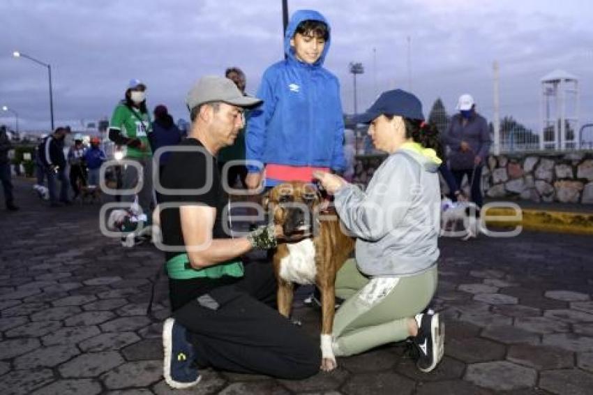 SAN ANDRÉS CHOLULA . CAMINATA CANINA