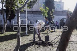 SAN ANDRÉS CHOLULA . JORNADA DE REFORESTACIÓN