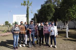 SAN ANDRÉS CHOLULA . JORNADA DE REFORESTACIÓN