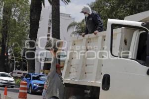 AVENIDA JUAREZ . PODA PALMERAS