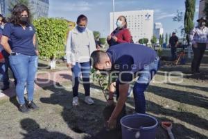 SAN ANDRÉS CHOLULA . JORNADA DE REFORESTACIÓN