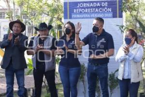 SAN ANDRÉS CHOLULA . JORNADA DE REFORESTACIÓN