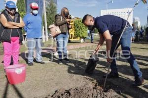 SAN ANDRÉS CHOLULA . JORNADA DE REFORESTACIÓN