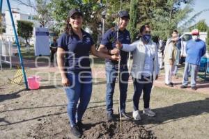 SAN ANDRÉS CHOLULA . JORNADA DE REFORESTACIÓN