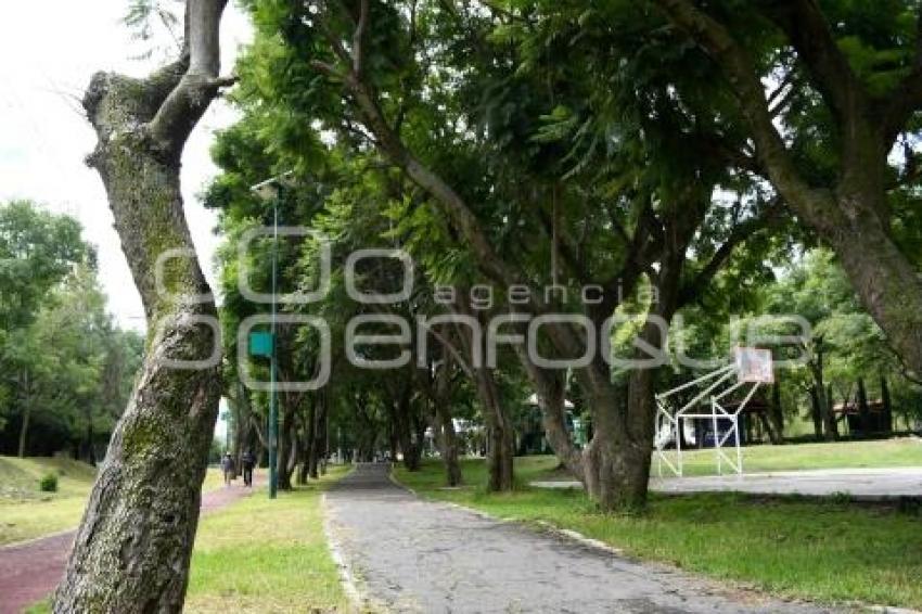 TLAXCALA . PARQUE DE LA JUVENTUD