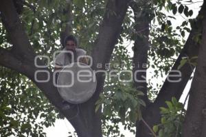 RESCATE . HOMBRE EN ÁRBOL 