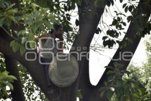 RESCATE . HOMBRE EN ÁRBOL 