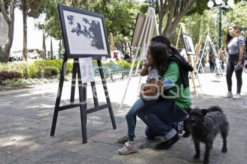 EXPOSICIÓN FOTOGRAFÍA POÉTICA