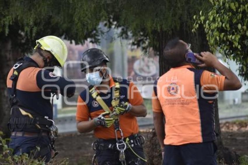 RESCATE . HOMBRE EN ÁRBOL 