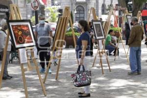 EXPOSICIÓN FOTOGRAFÍA POÉTICA