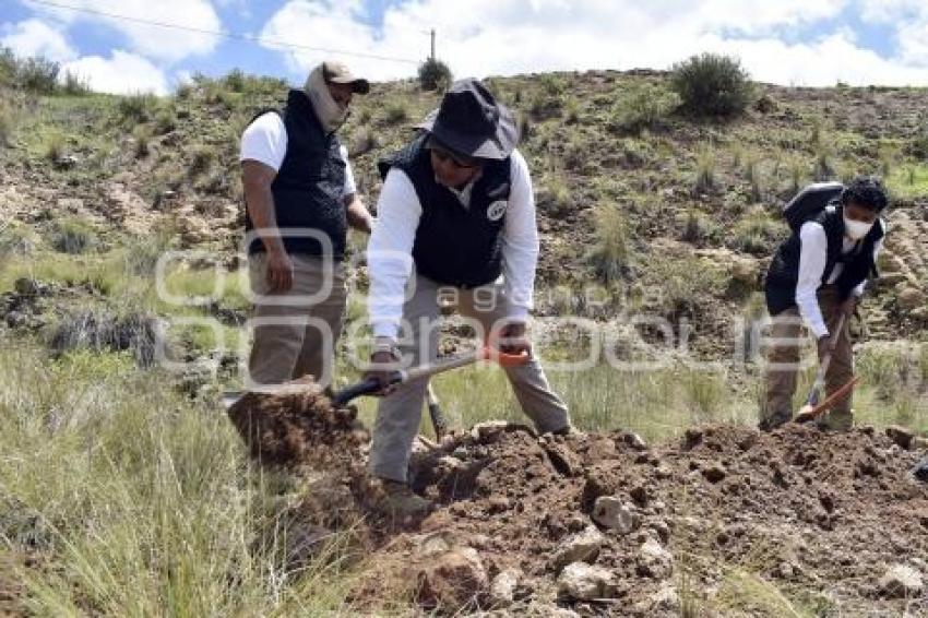 BÚSQUEDA DE PERSONAS DESAPARECIDAS