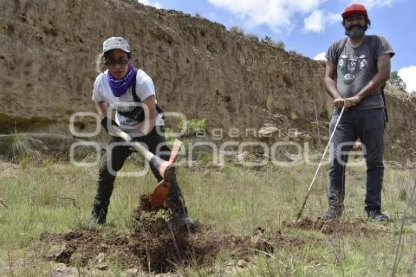 BÚSQUEDA DE PERSONAS DESAPARECIDAS