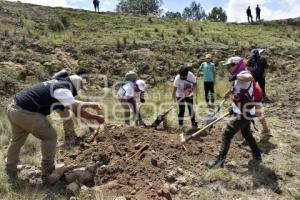 BÚSQUEDA DE PERSONAS DESAPARECIDAS