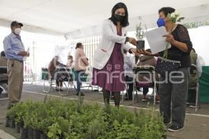 IMSS . JORNADA ATENCIÓN INTEGRAL