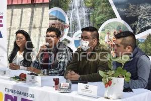 FERIA DE LAS BERRIES