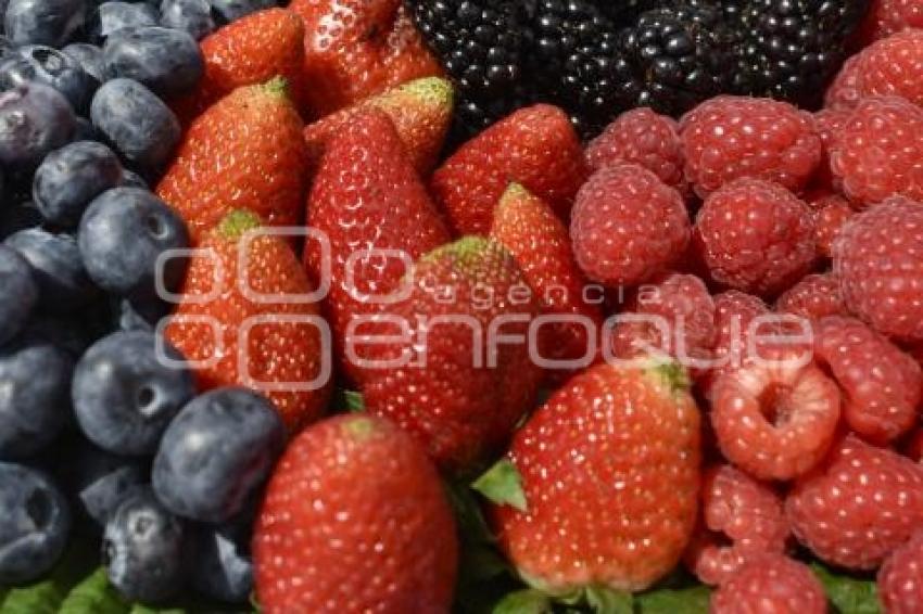 FERIA DE LAS BERRIES