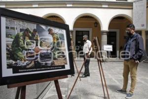 EXPOSICIÓN FUERZA AÉREA DE MÉXICO