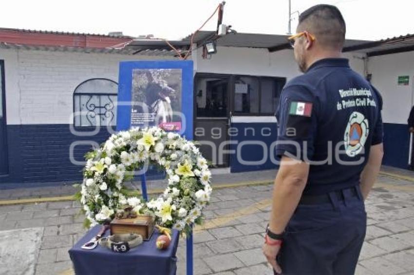 SSC . HOMENAJE PERRO RESCATISTA