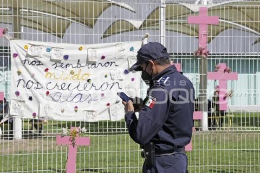 MANIFESTACIÓN . ZYANYA ESTEFANIA