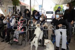 SAN ANDRÉS CHOLULA . APARATOS ORTOPÉDICOS