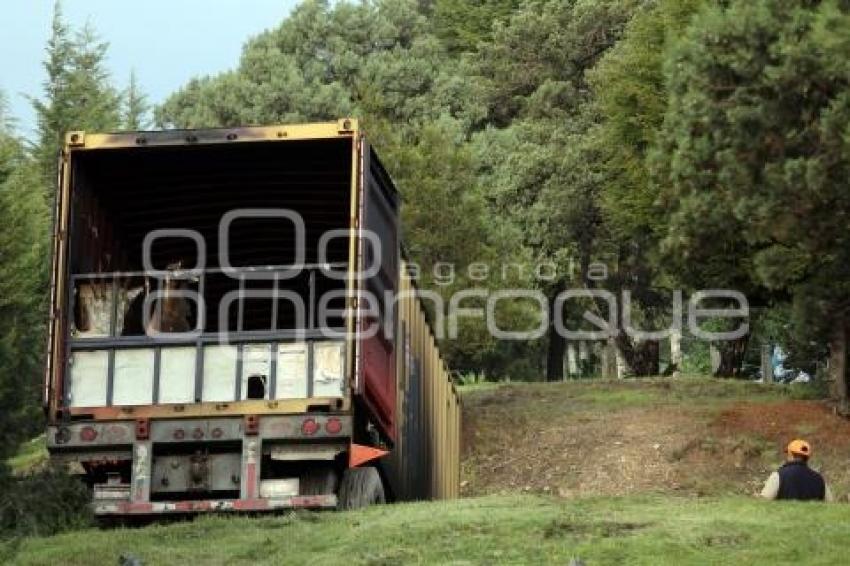 TLAXCALA . INCENDIO TRAILER