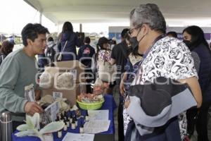 SAN ANDRÉS CHOLULA . EXPO JÓVENES