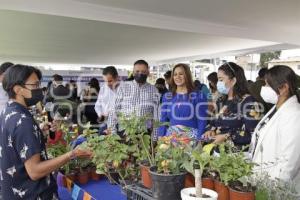 SAN ANDRÉS CHOLULA . EXPO JÓVENES