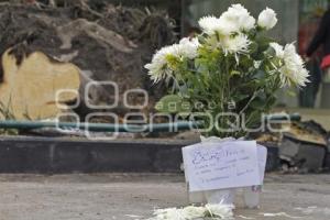 OFRENDA FLORAL . CALLE 5 DE MAYO