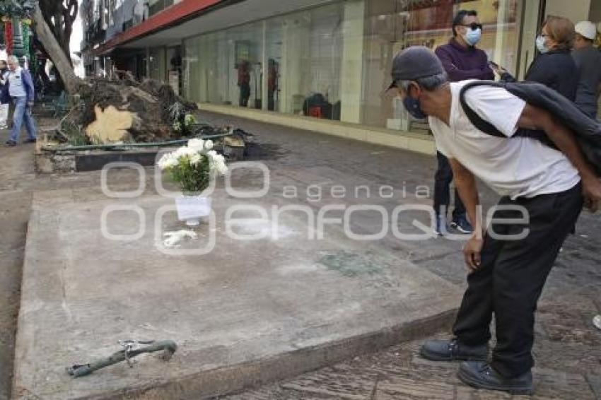 OFRENDA FLORAL . CALLE 5 DE MAYO