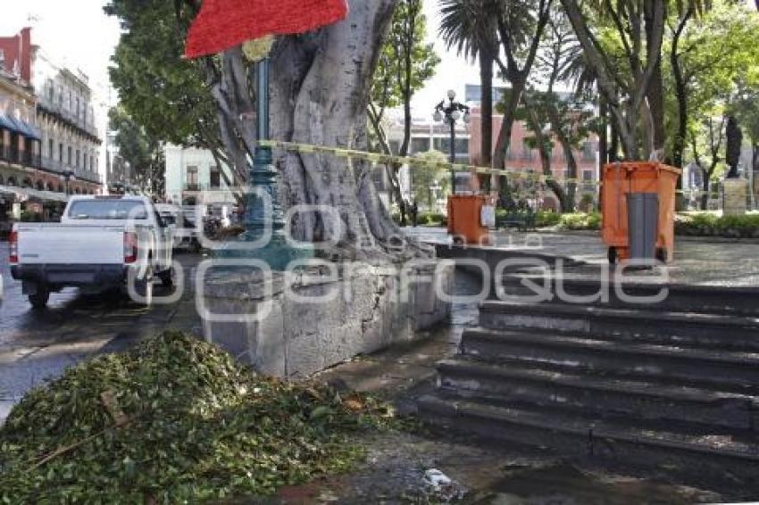 ZÓCALO. ACORDONAMIENTO