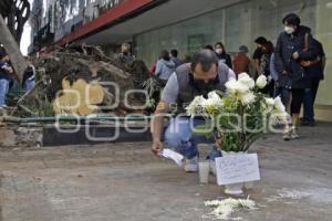 OFRENDA FLORAL . CALLE 5 DE MAYO