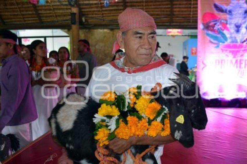 TEHUACÁN . MOLE DE CADERAS