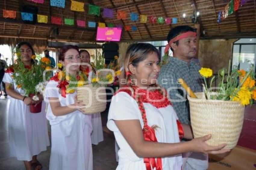 TEHUACÁN . MOLE DE CADERAS