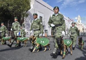 DESFILE MILITAR INDEPENDENCIA