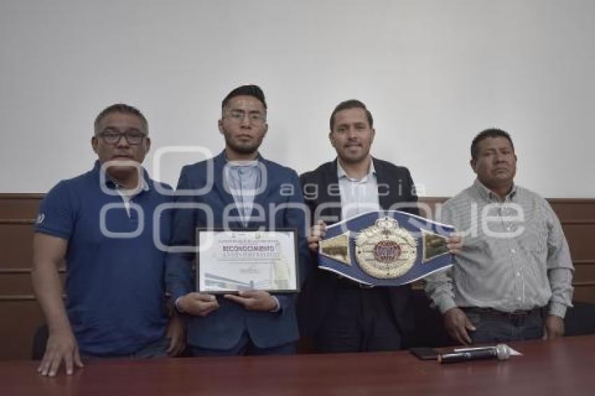 COMISIÓN DEL DEPORTE .  BOXEADOR