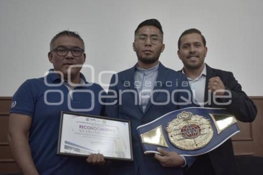 COMISIÓN DEL DEPORTE .  BOXEADOR