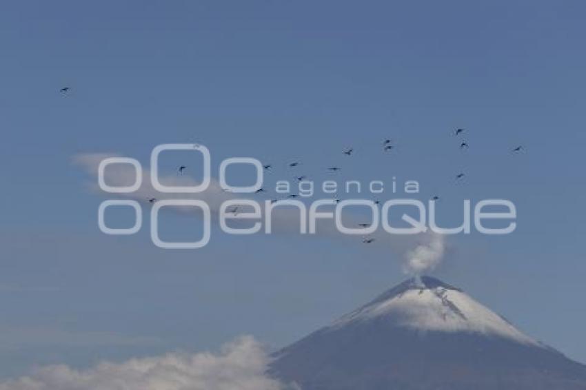 VOLCÁN POPOCATÉPETL . FUMAROLA