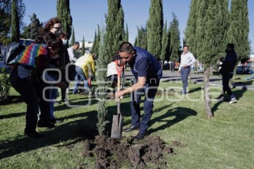 SAN ANDRÉS CHOLULA . REFORESTACIÓN