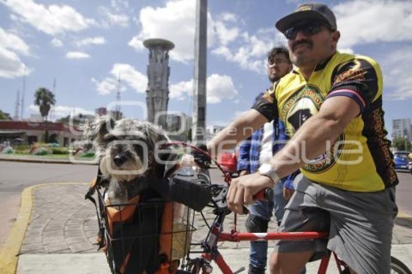 DÍA MUNDIAL SIN AUTO